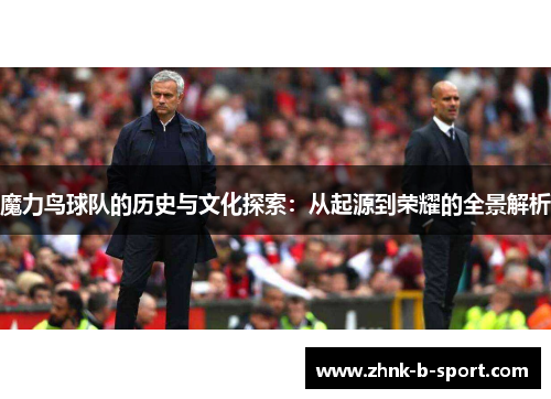 魔力鸟球队的历史与文化探索：从起源到荣耀的全景解析